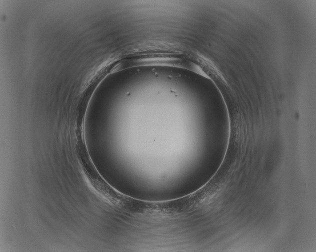 X0000066120538200603101238