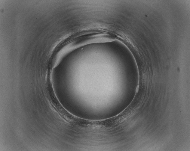 X0000066120539200603101238