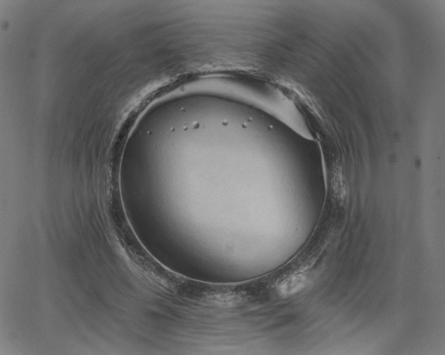 X0000066120540200603101238