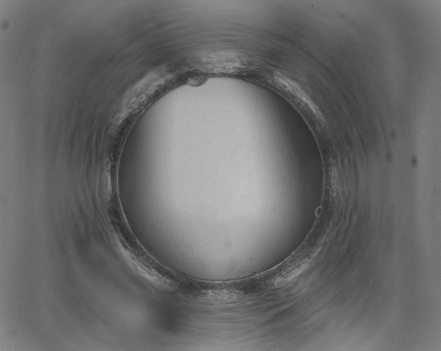 X0000066120541200603101238