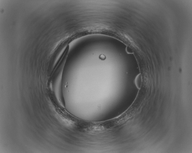 X0000066120543200603101238