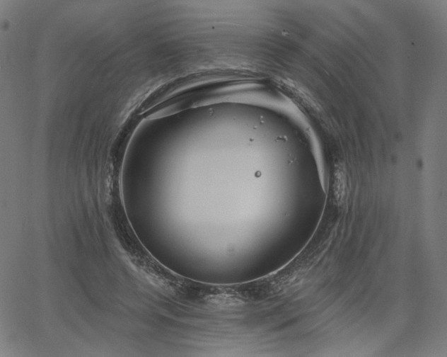 X0000066120544200603101238