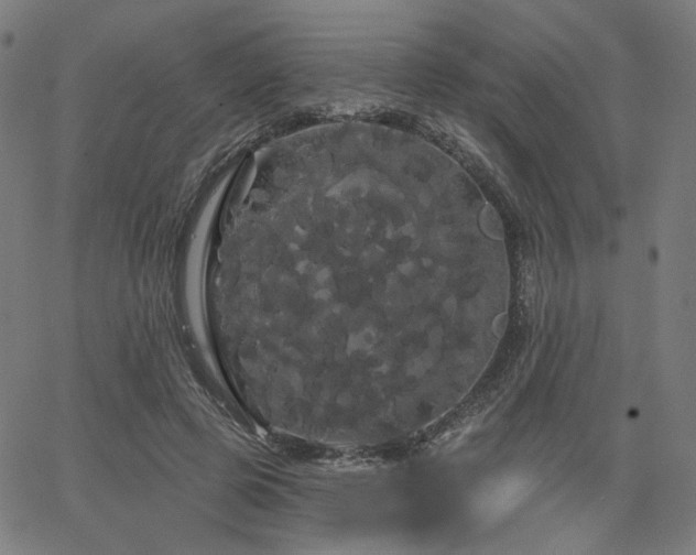 X0000066120545200603101238