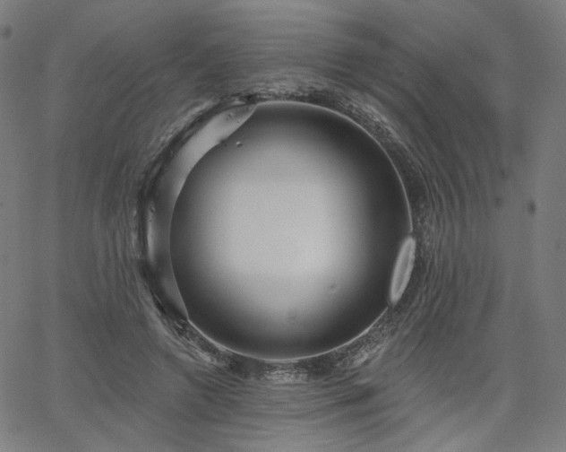 X0000066120546200603101238