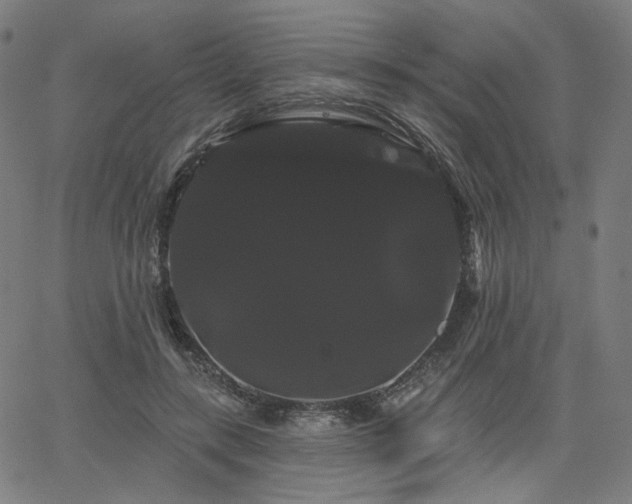 X0000066120547200603101238