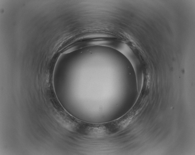 X0000066120548200603101238