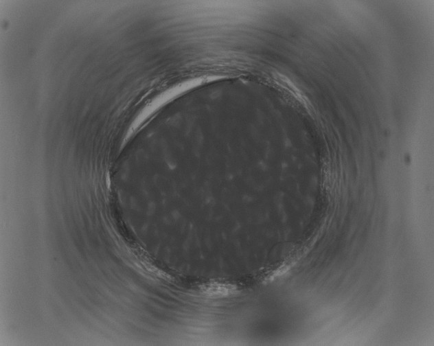 X0000066120549200603101238