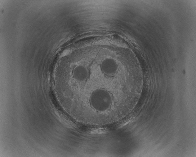 X0000066120550200603101238