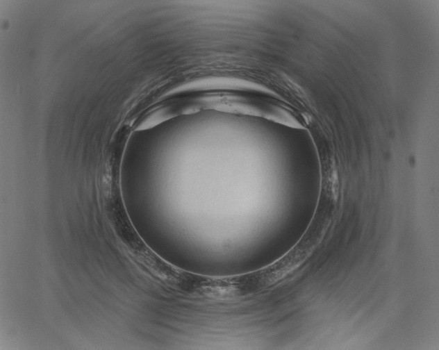 X0000066120552200603101238