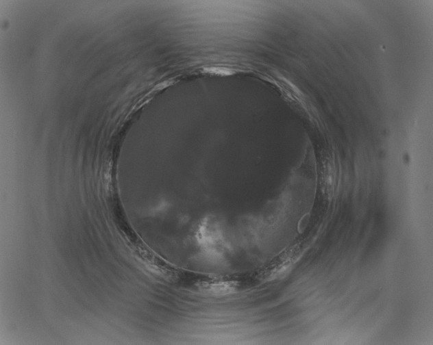 X0000066120553200603101238