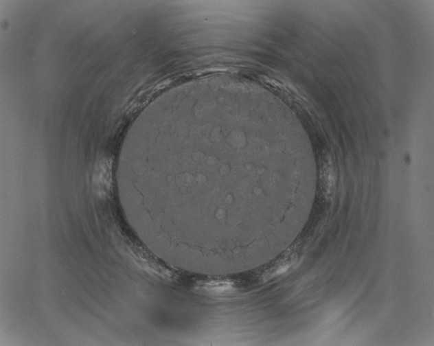 X0000066120554200603101238