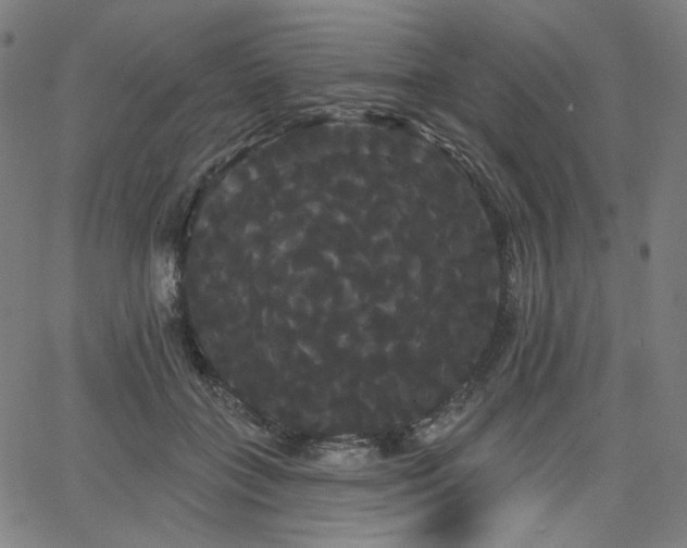 X0000066120555200603101238