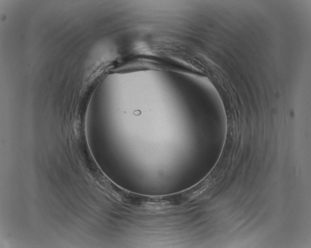 X0000066120556200603101238