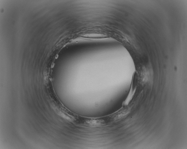 X0000066120558200603101238