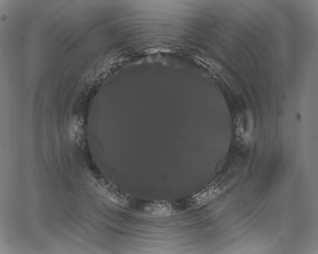 X0000066120559200603101238