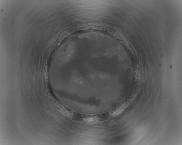 X0000066120561200603101238