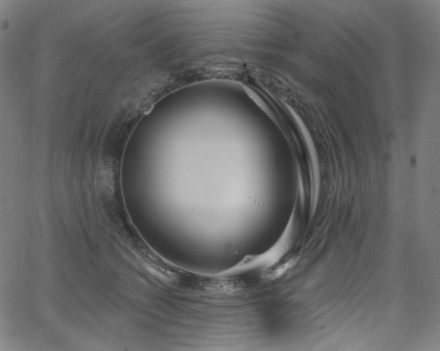 X0000066120562200603101238