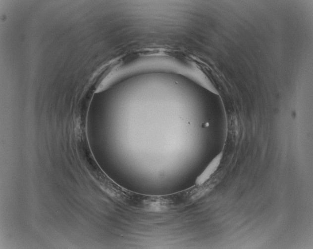 X0000066120564200603101238