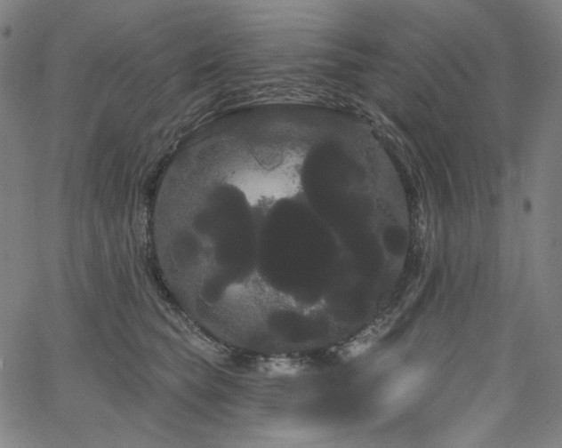 X0000066120565200603101238