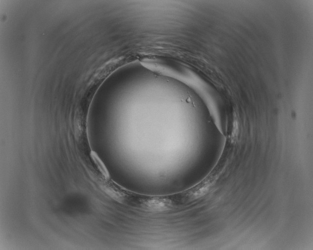 X0000066120566200603101238