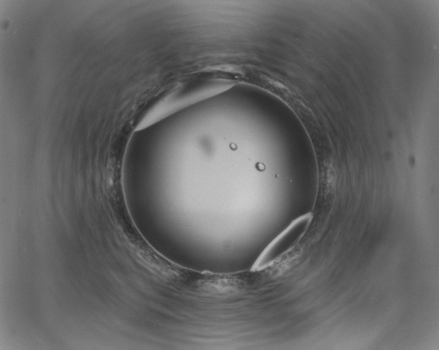 X0000066120567200603101238