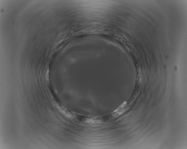 X0000066120568200603101238