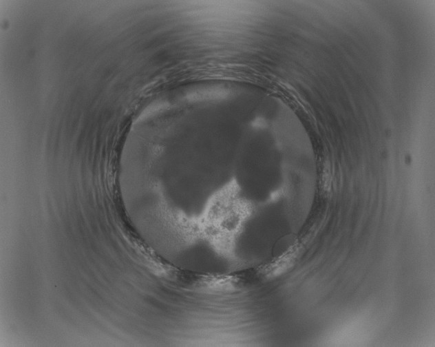 X0000066120569200603101238