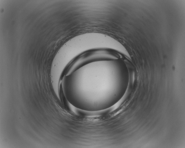 X0000066120570200603101238