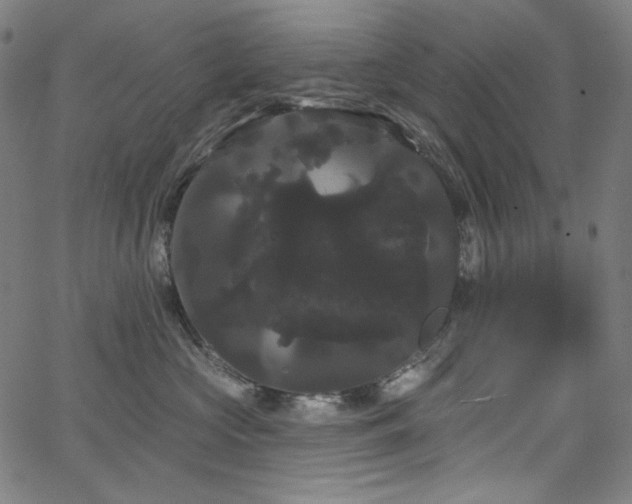 X0000066120573200603101238