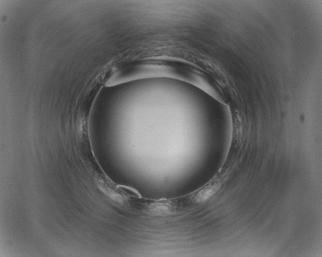 X0000066120574200603101238