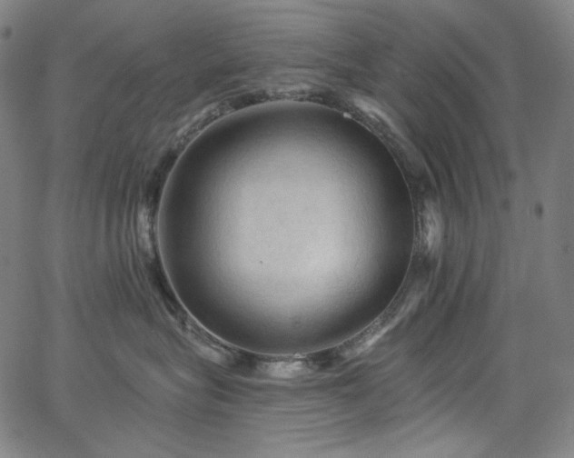 X0000066120575200603101238