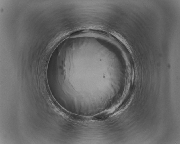 X0000066120577200603101238