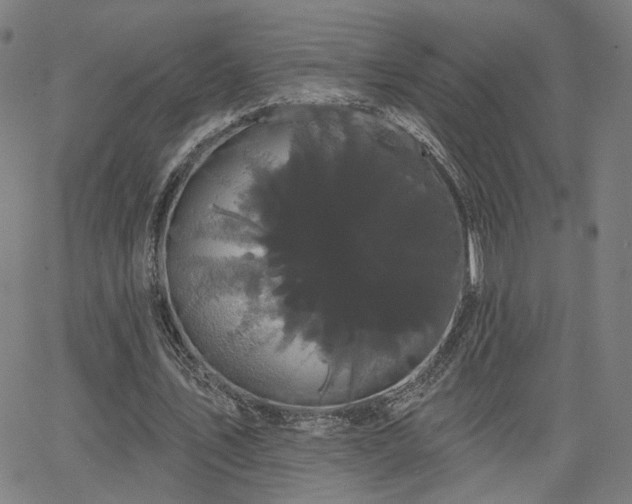 X0000066120579200603101238