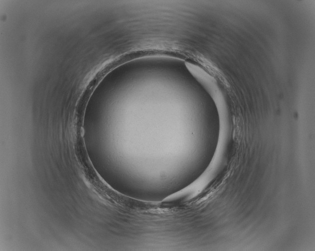 X0000066120580200603101238