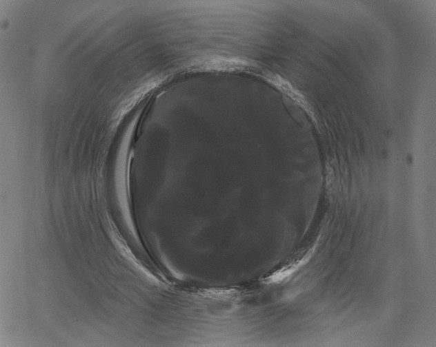 X0000066120581200603101238