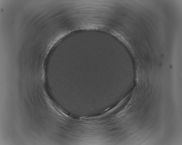 X0000066120584200603101238