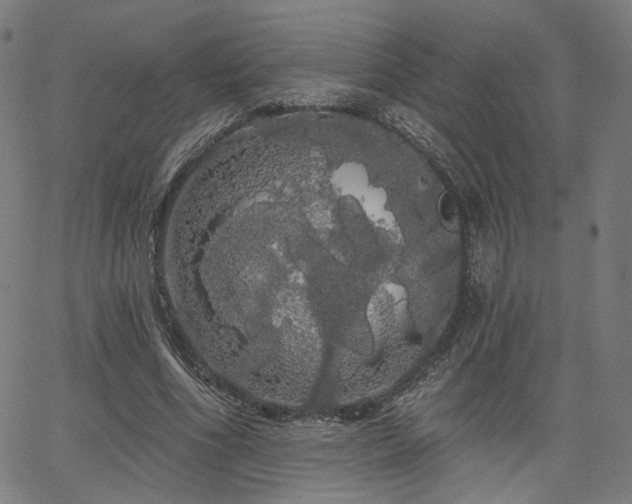 X0000066120586200603101237