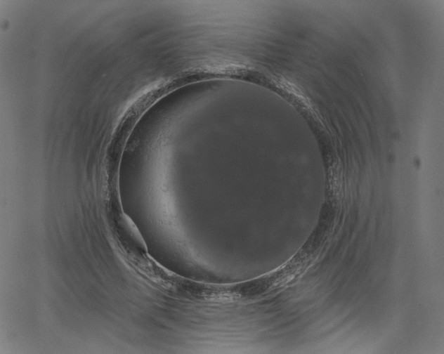 X0000066120587200603101237