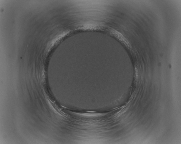 X0000066120588200603101237