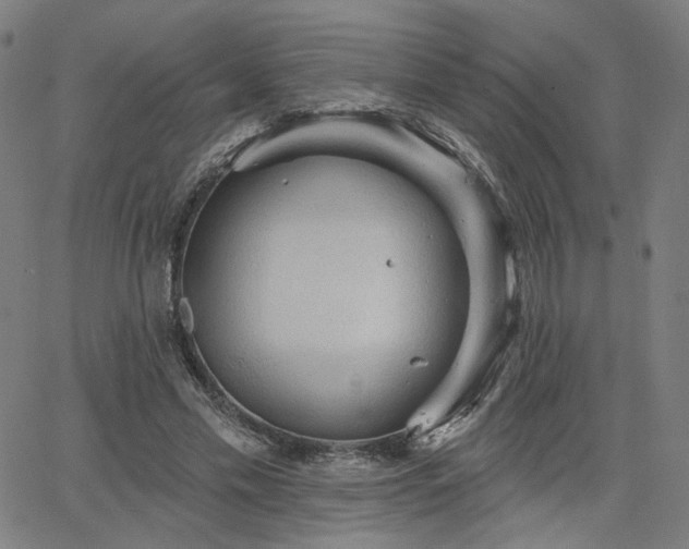 X0000066120589200603101237