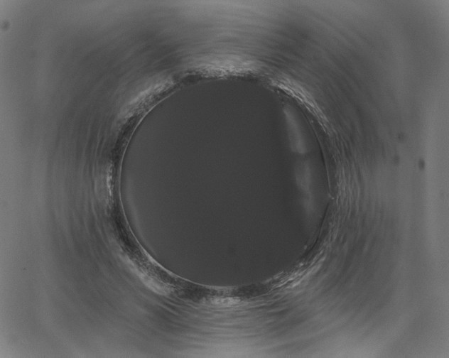 X0000066120590200603101237