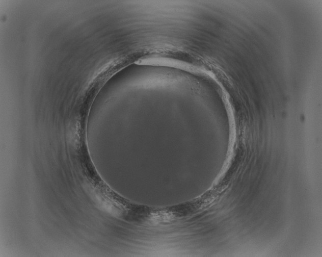 X0000066120591200603101237