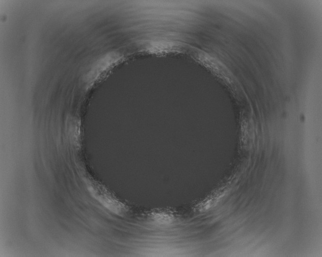 X0000066120592200603101237