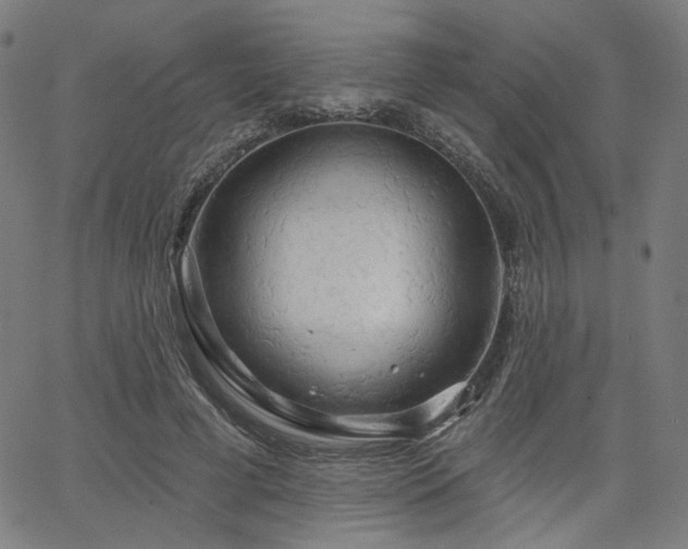 X0000066120593200603101237