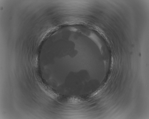 X0000066120596200603101237