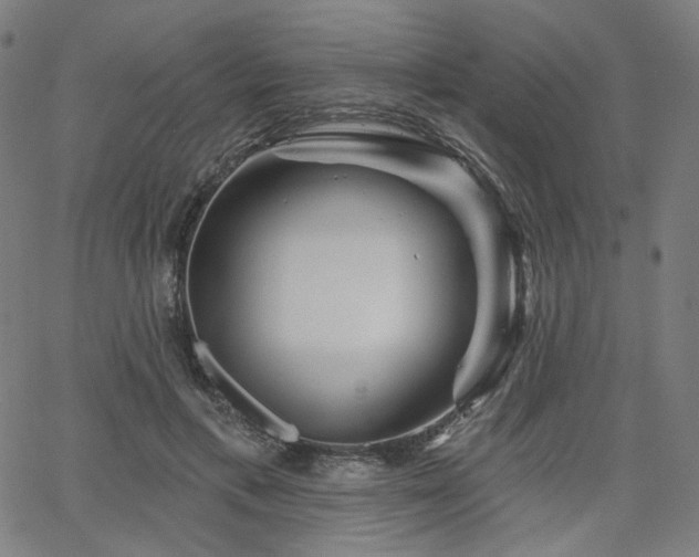 X0000066120597200603101237