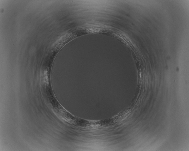 X0000066120598200603101237