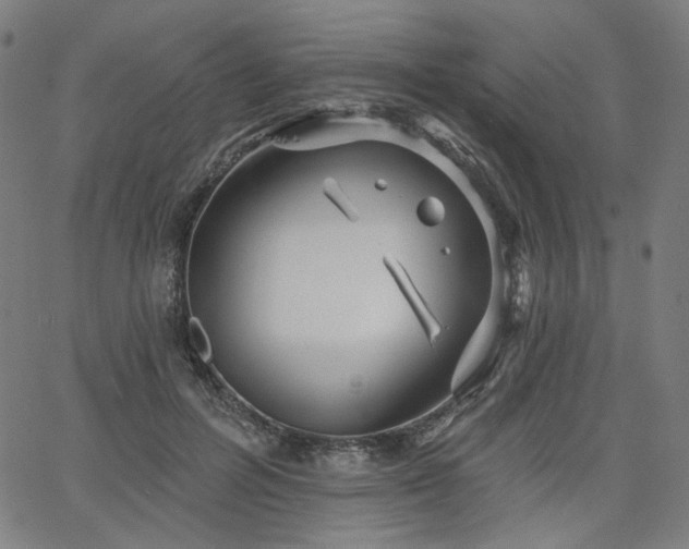 X0000066120600200603101237