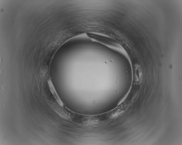 X0000066120601200603101237