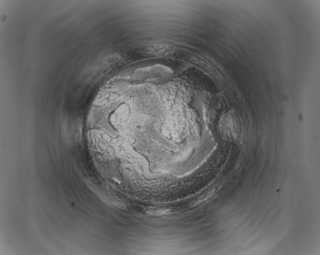 X0000066120602200603101237